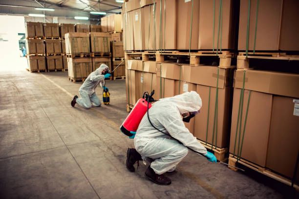Best Emergency Pest Control  in Highland Acres, DE
