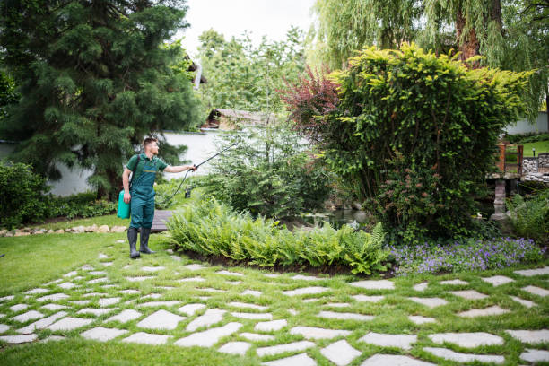 Best Local Pest Control Services  in Highland Acres, DE