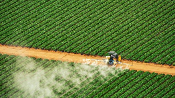 Reliable Highland Acres, DE Pest Control Solutions