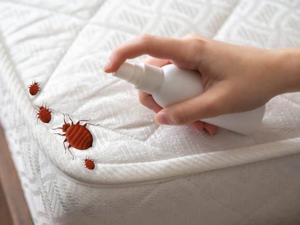 Best Pest Control Near Me  in Highland Acres, DE